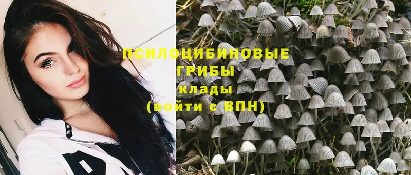 Псилоцибиновые грибы Psilocybine cubensis  нарко площадка состав  Томск 